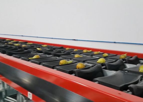 Aweta industry leading project Pear project in United Kingdom