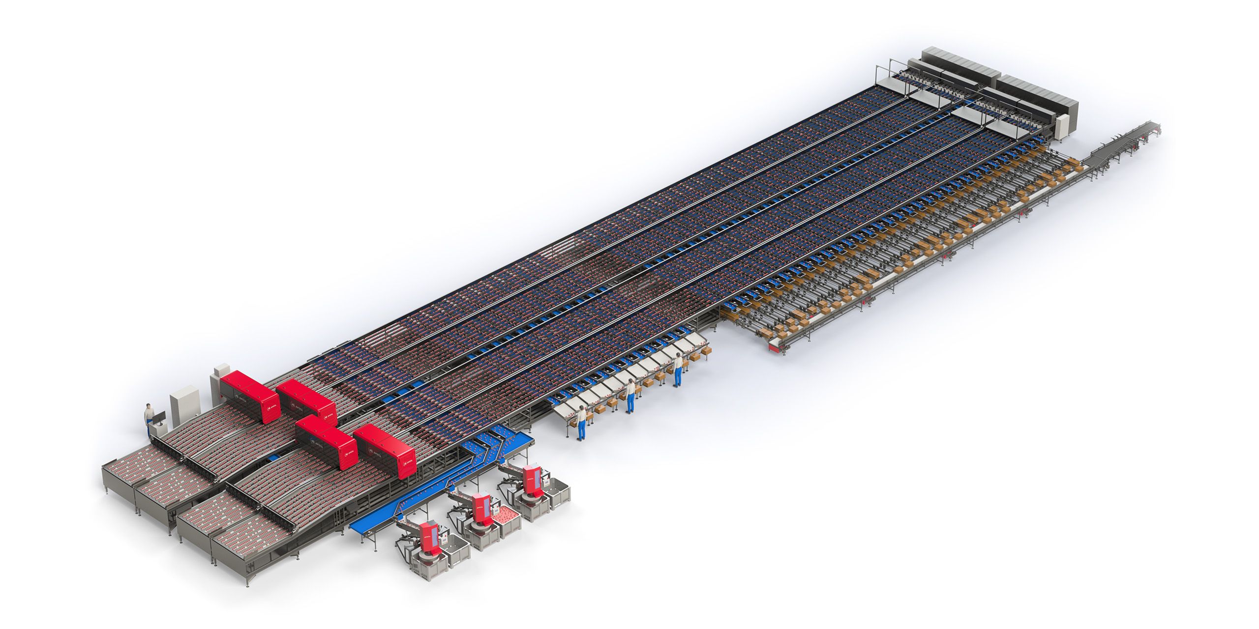 Aweta your produce tomato sorting machine