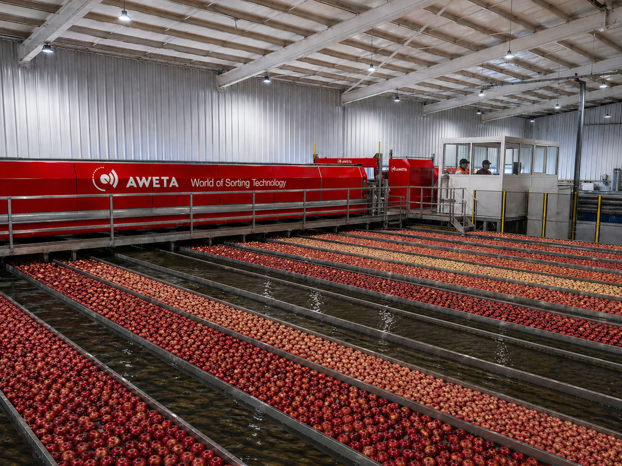 Aweta at the heart of new Empresas San Clemente project in Angol, Chile