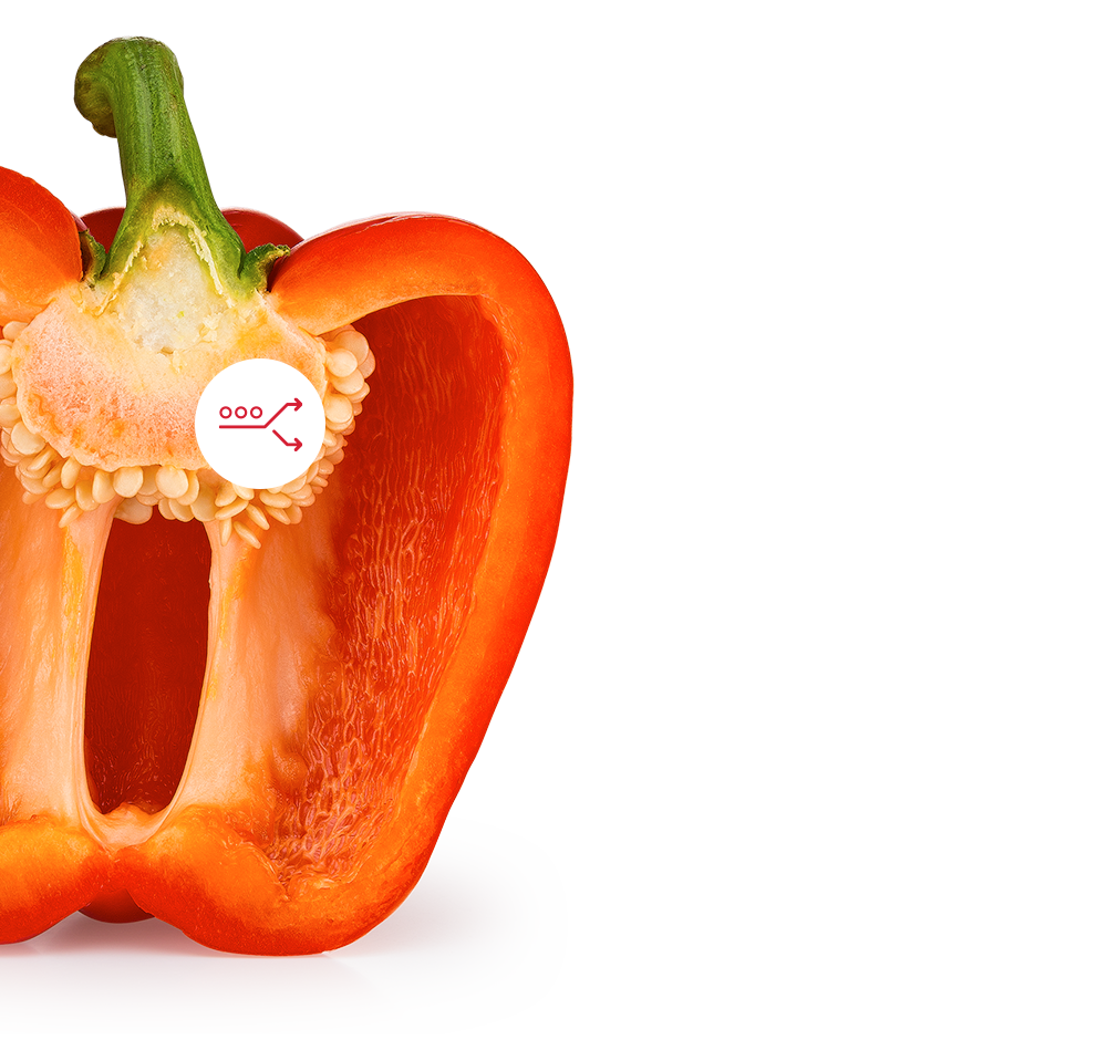 Aweta your produce internal quality