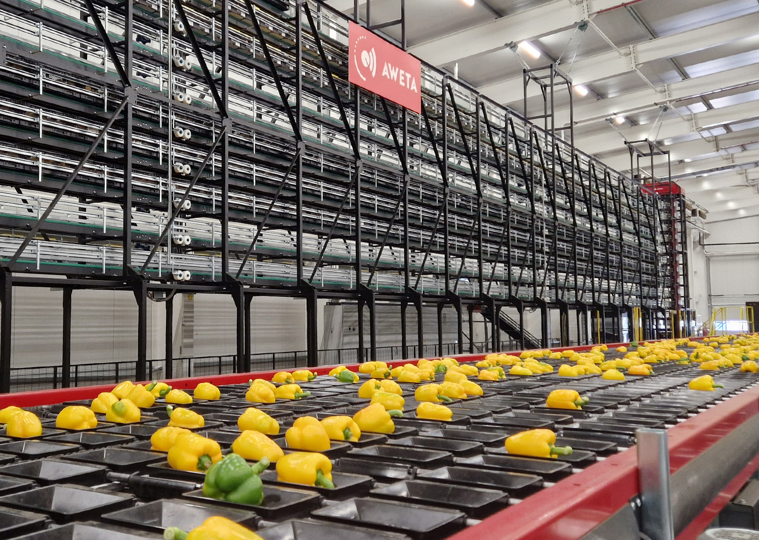 Aweta tailored to your produce and goals