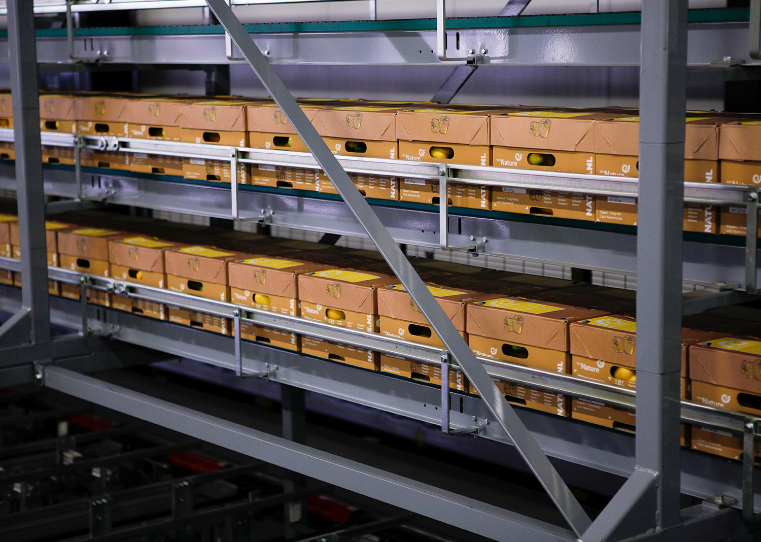 Aweta produce pepper packing logistics Accuveyor