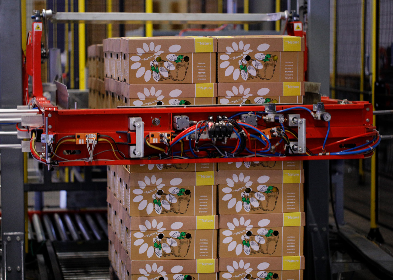 Aweta produce pepper packing logistics Palletizing