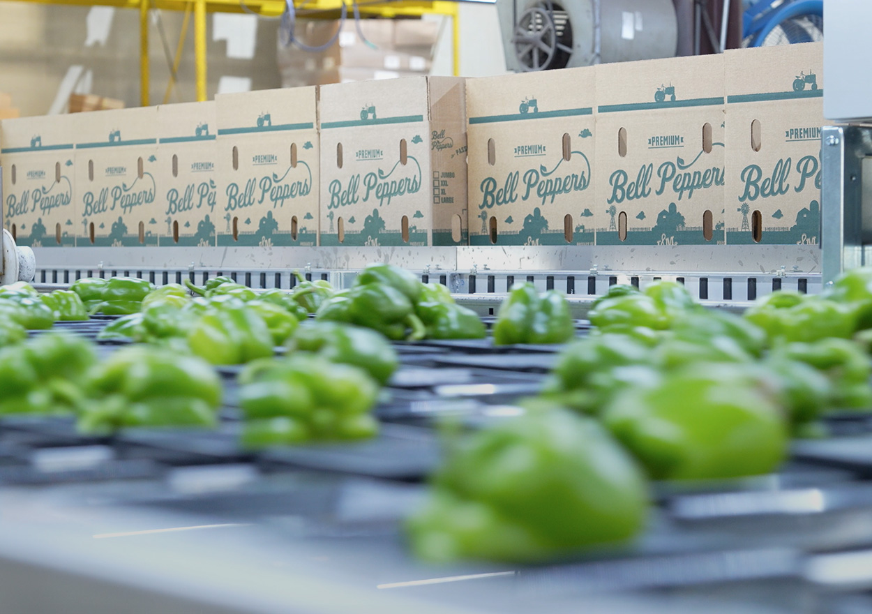 Aweta leading industry project