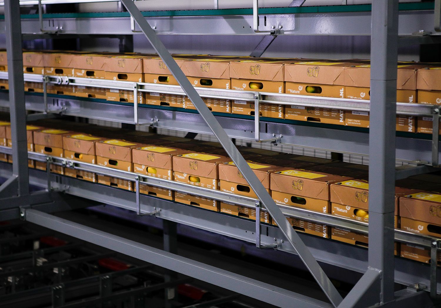 Aweta produce pepper packing logistics Accuveyor