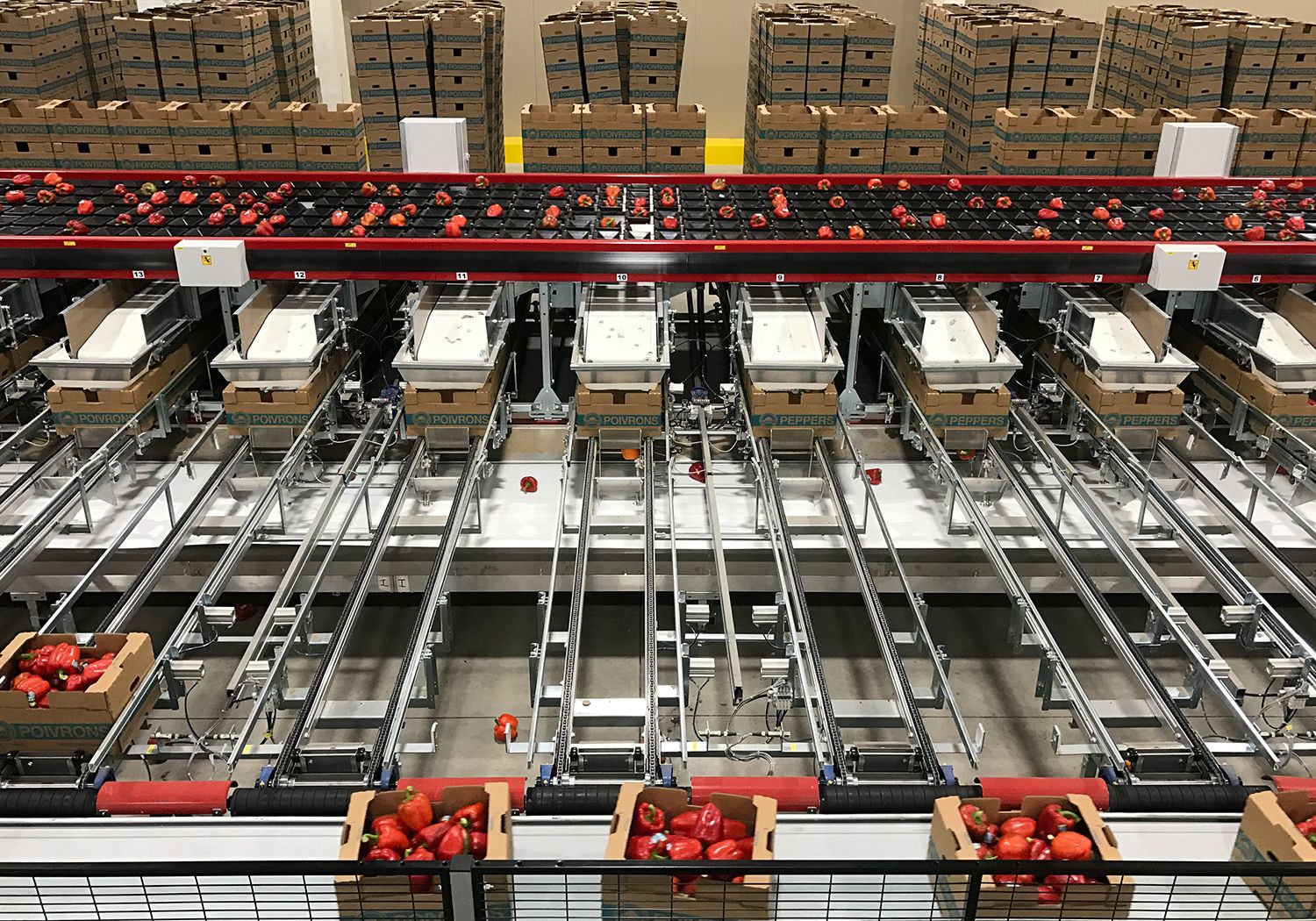 Aweta tailored to your produce and goals
