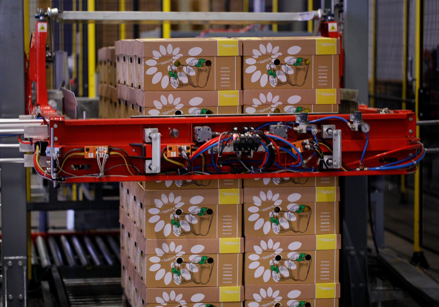 Aweta produce pepper packing logistics Palletizing