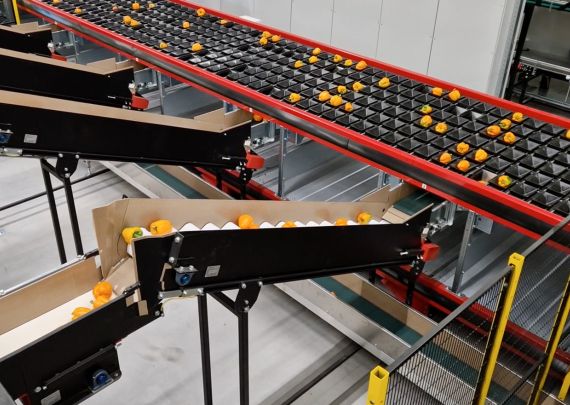 Aweta industry leading project PapriCo