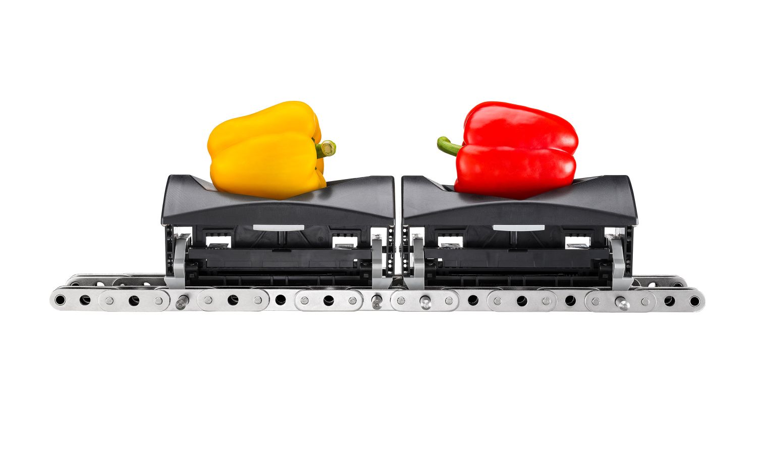 Aweta tomato produce grading sensor rollerstar