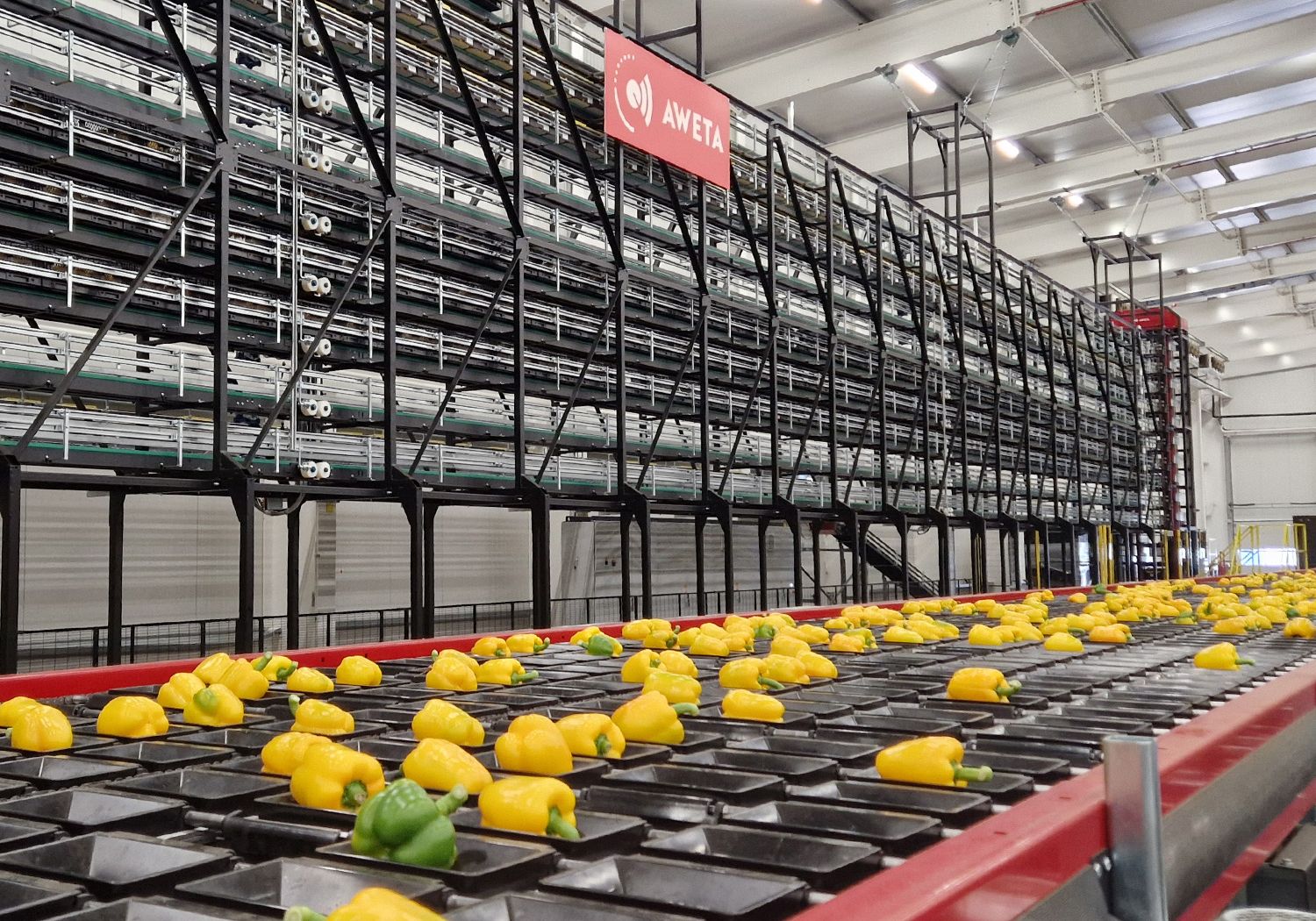 Aweta tailored to your produce and goals