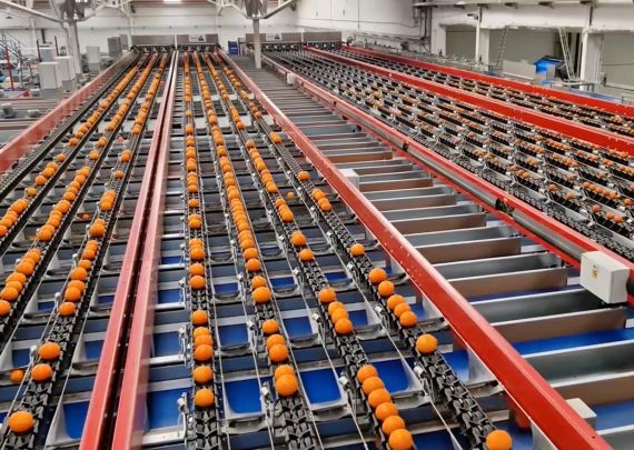 Aweta industry leading project Citrus Packing