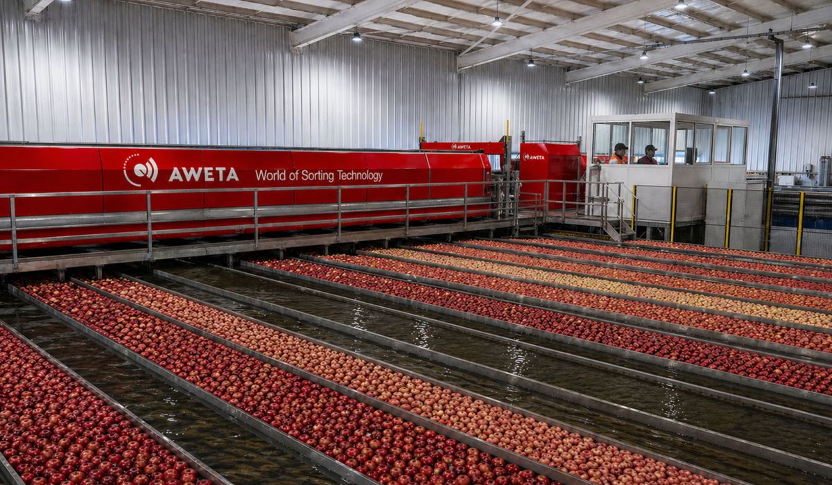 Aweta at the heart of new Empresas San Clemente project in Angol, Chile
