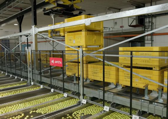 Aweta industry leading project Agrintesa