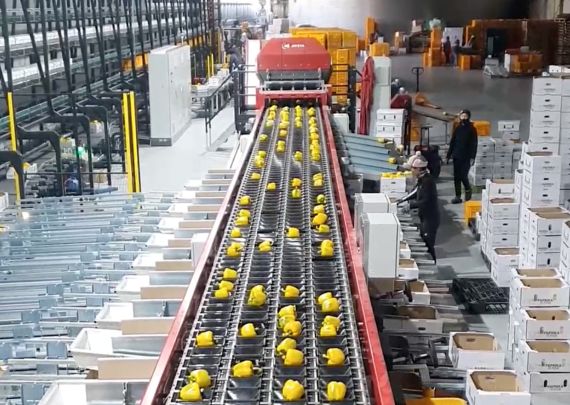 Aweta industry leading project Haedampto