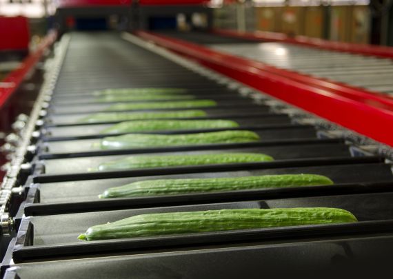 Aweta industry leading project