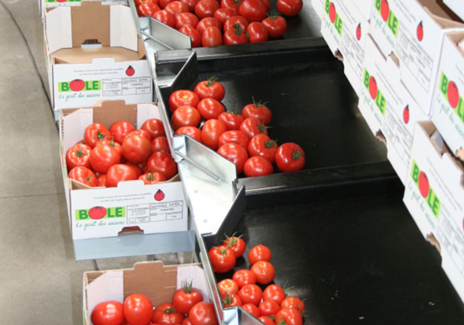 Aweta tailored to your produce and goals