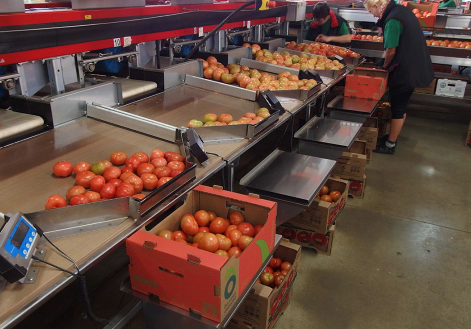 Aweta tailored to your produce and goals