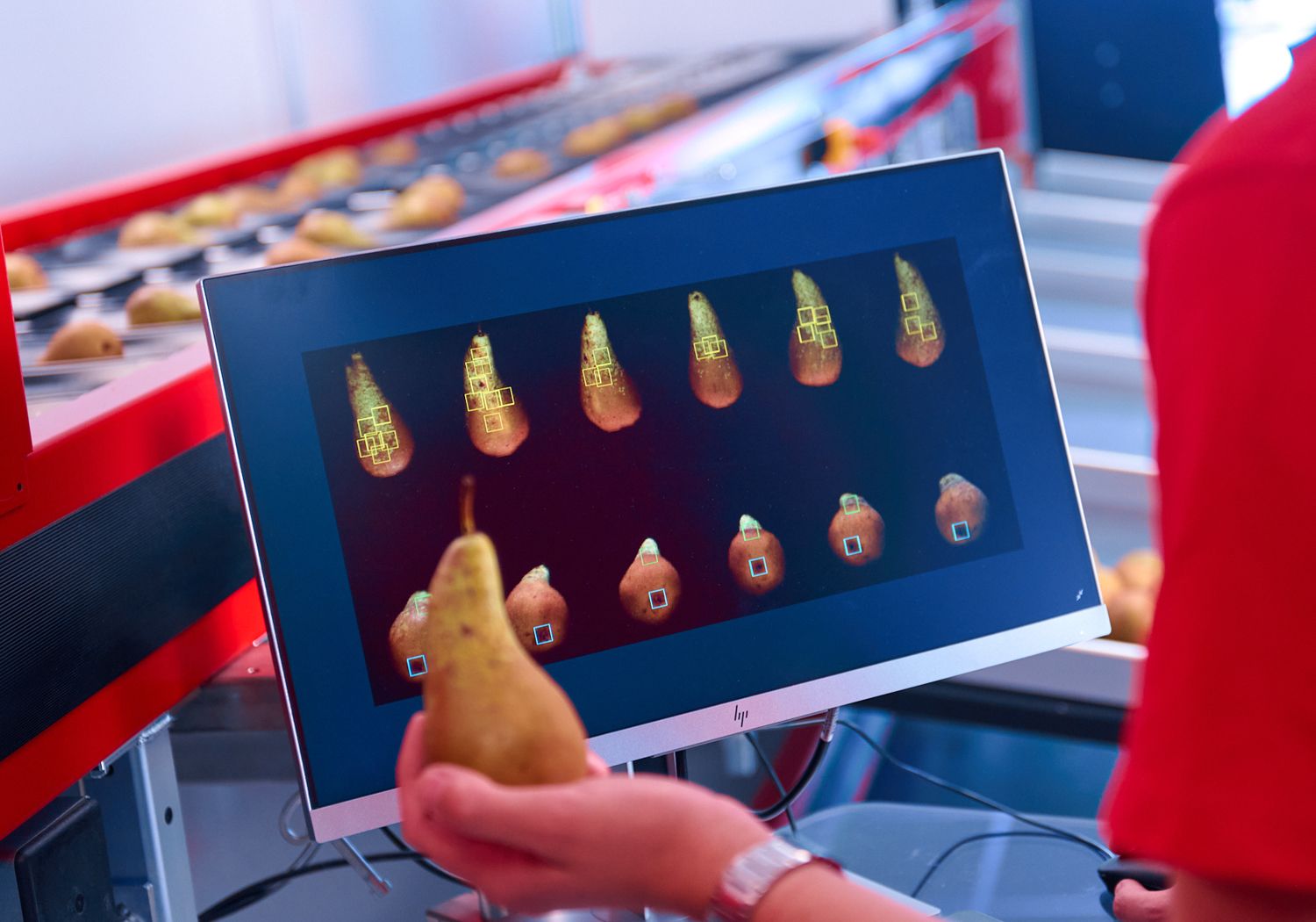 Aweta technology external grading