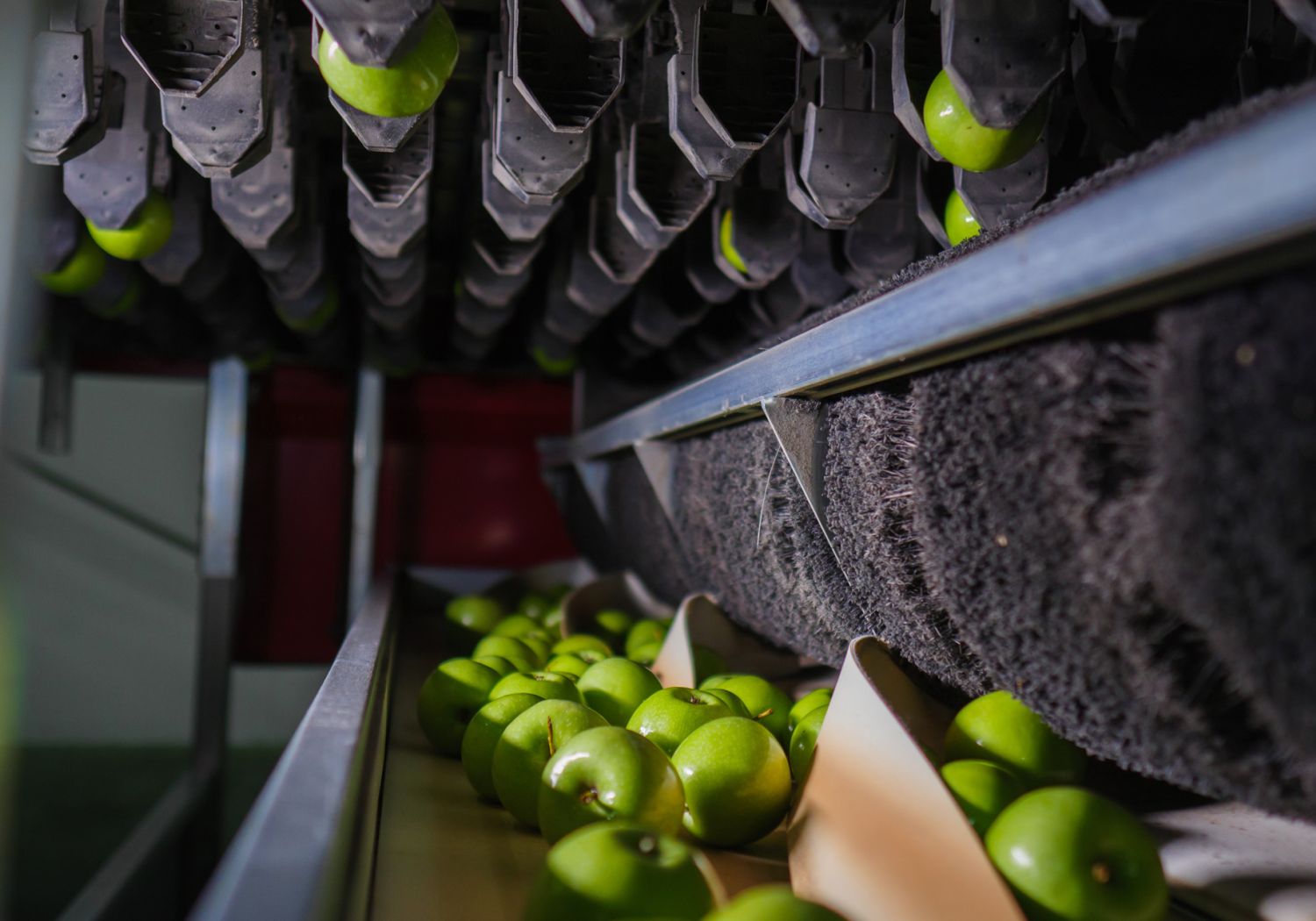 Aweta internal grading technology apples