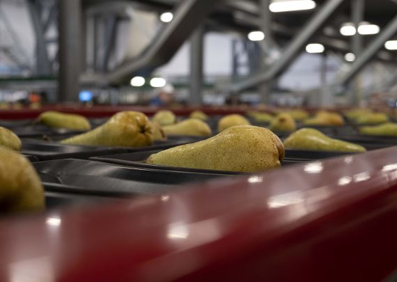 Aweta industry leading project