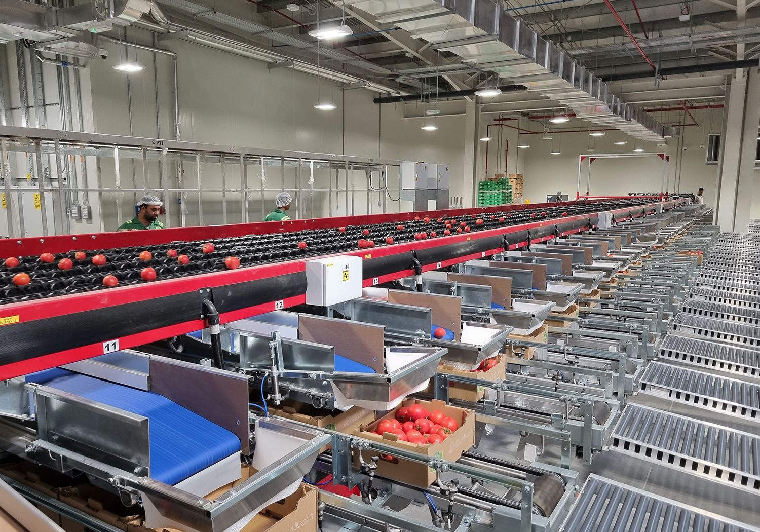 Aweta tailored to your produce and goals