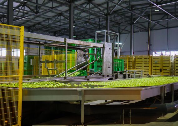 Aweta industry leading project