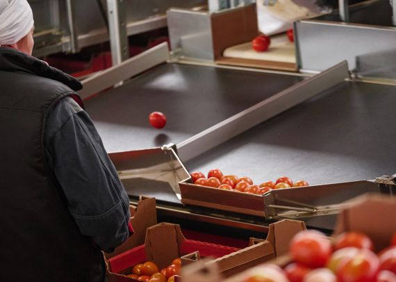 Aweta industry leading project