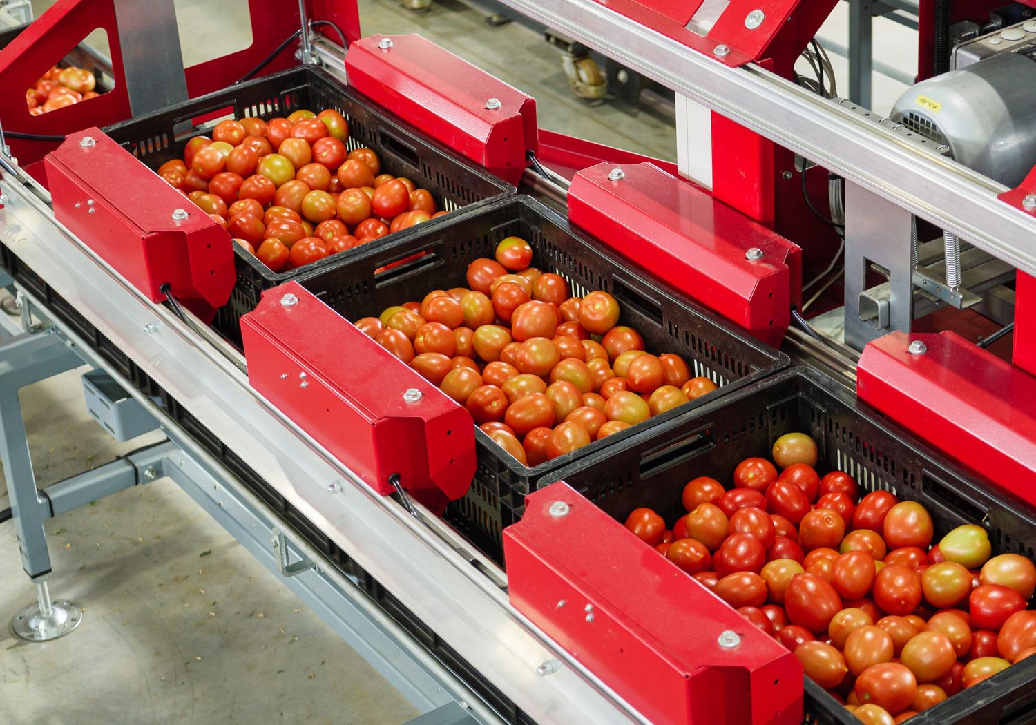 Aweta tailored to your produce and goals