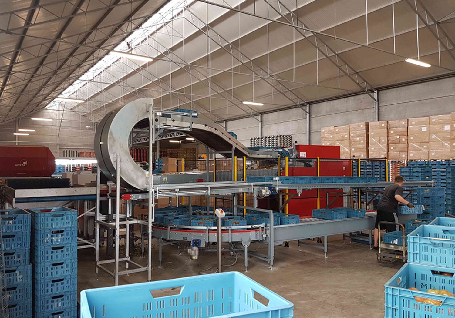 Aweta your produce tomato bin dumper