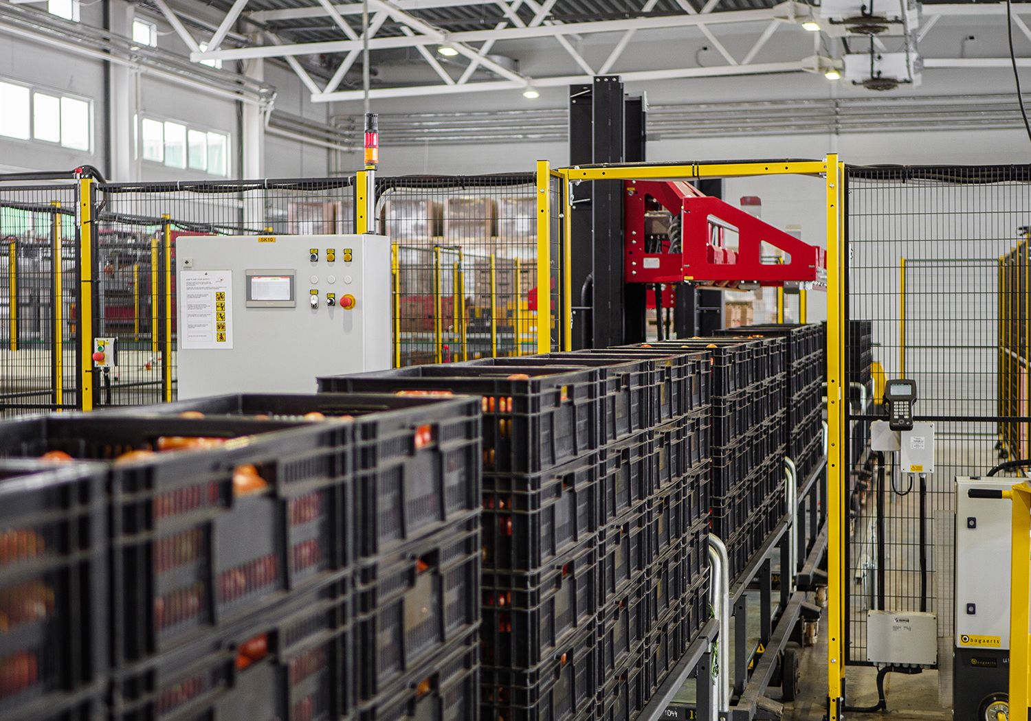 Aweta produce tomato packing logistics Palletizing