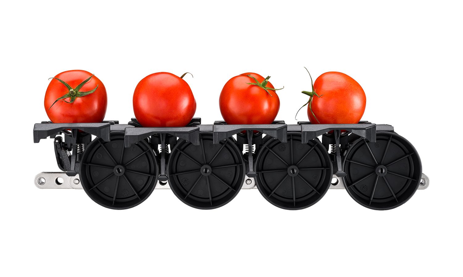 Aweta tomato produce grading sensor rollerstar