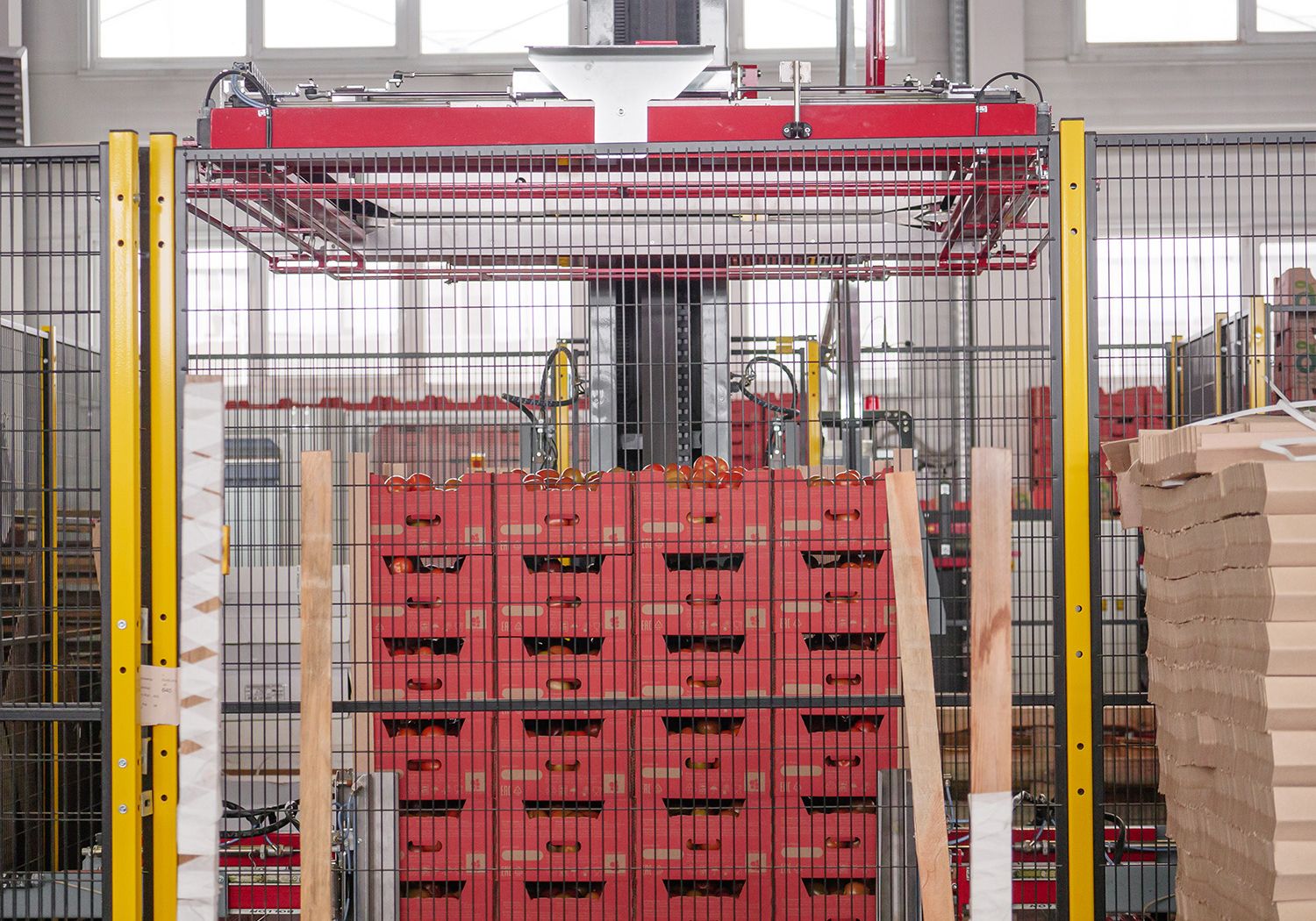 Aweta produce tomato packing logistics Accuveyor