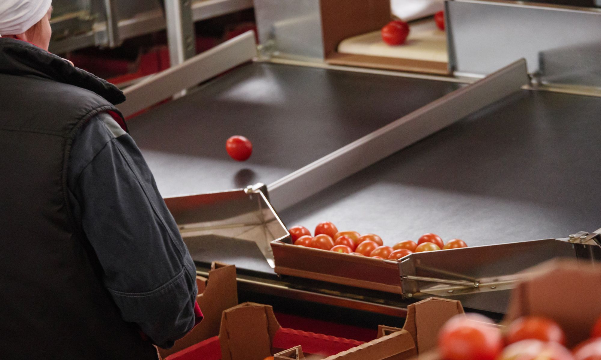 Aweta turnkey solutions project images